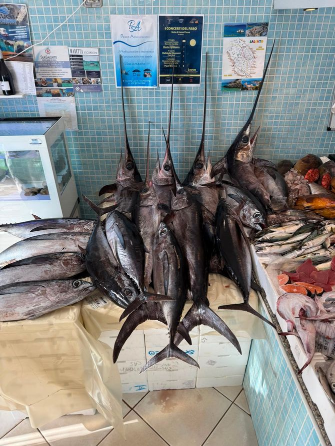 Pesce fresco esposto sul ghiaccio al banco di un mercato, con diversi grossi pesci simili a tonni in posizione verticale al centro.