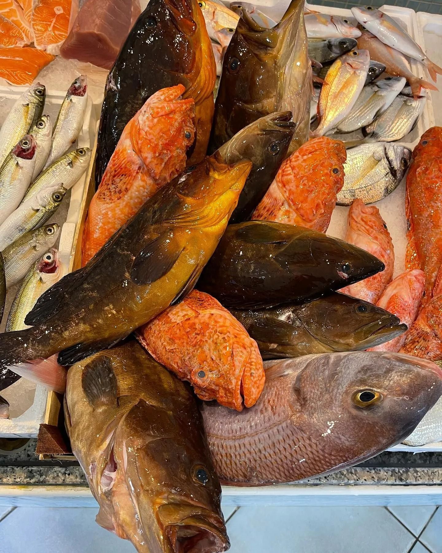 Assortimento di pesce fresco esposto sul ghiaccio in un mercato, tra cui pesce arancione, marrone e argentato.