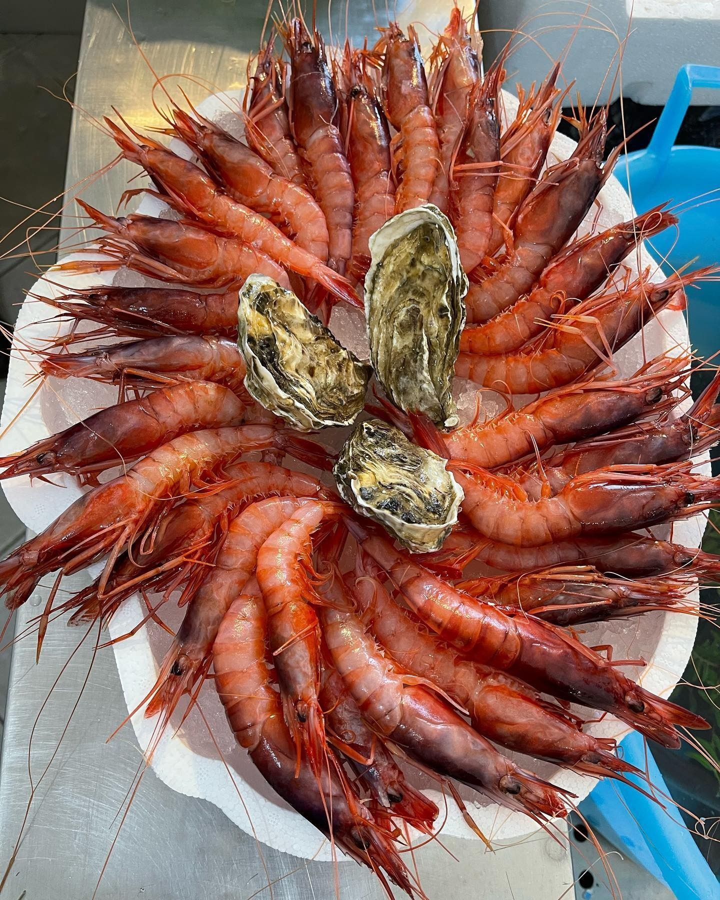 Piatto radiale di gamberi rossi cotti con tre ostriche su un piatto bianco