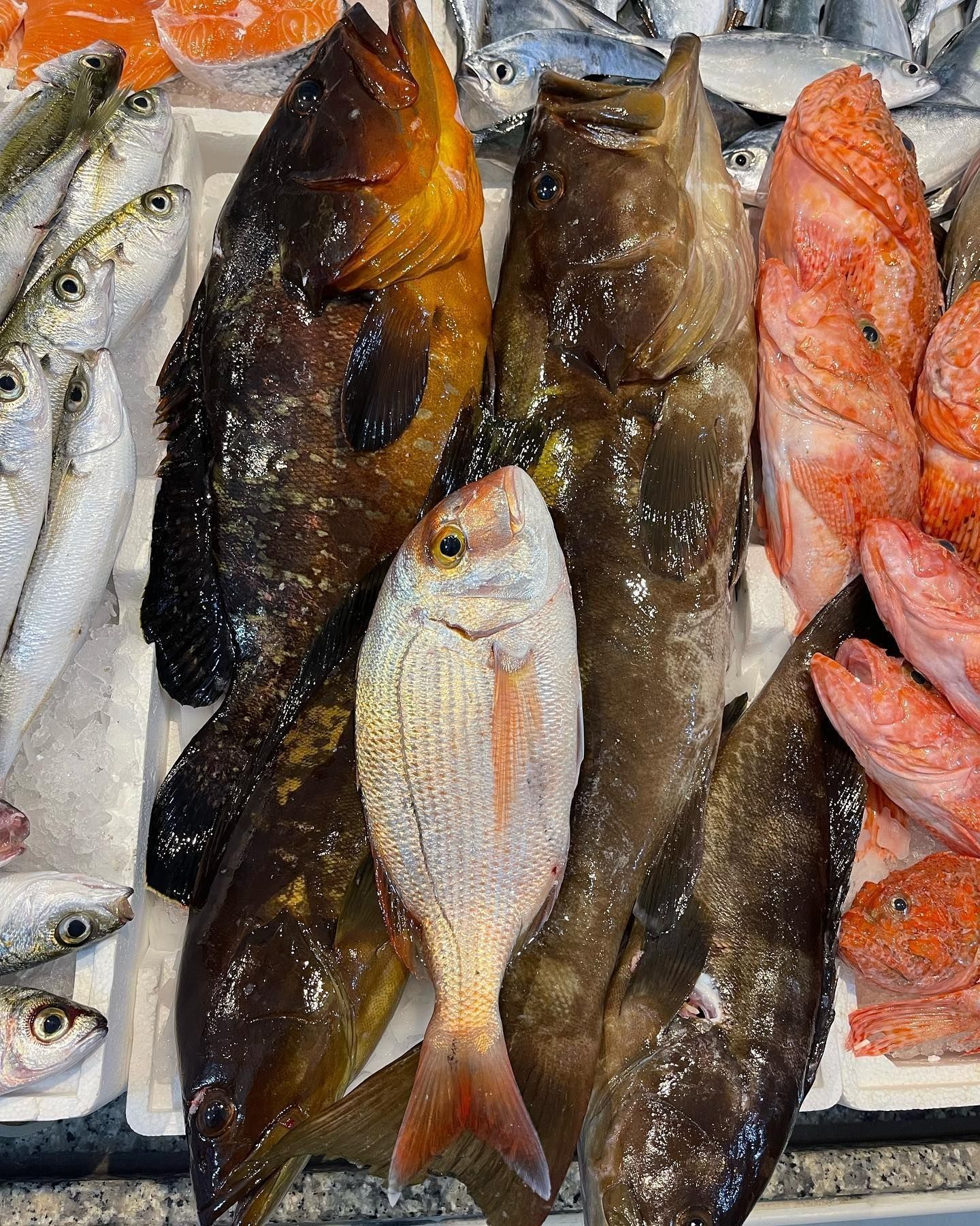 Pesce intero assortito e gamberi rossi disposti su ghiaccio tritato in un mercato del pesce.