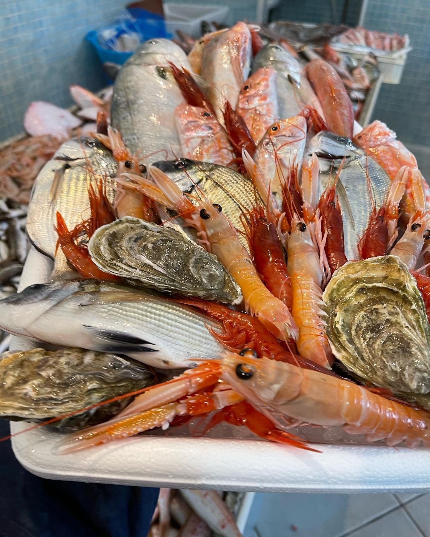 Un vassoio colmo di pesce crudo e frutti di mare assortiti su un piatto bianco.