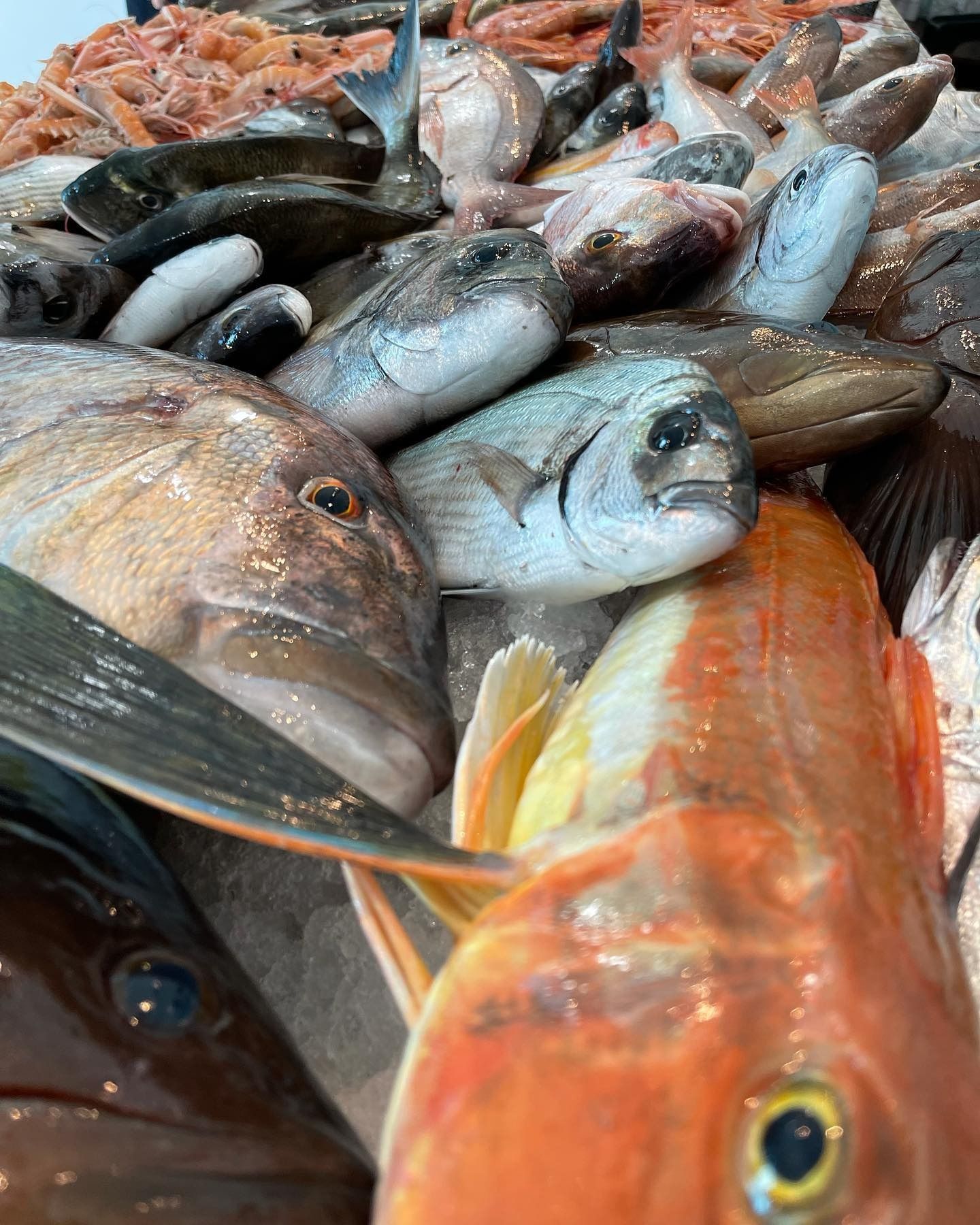 Primo piano di un assortimento di pesce fresco ammucchiato su una bancarella del mercato, con pesci argentati e arancioni ben visibili.