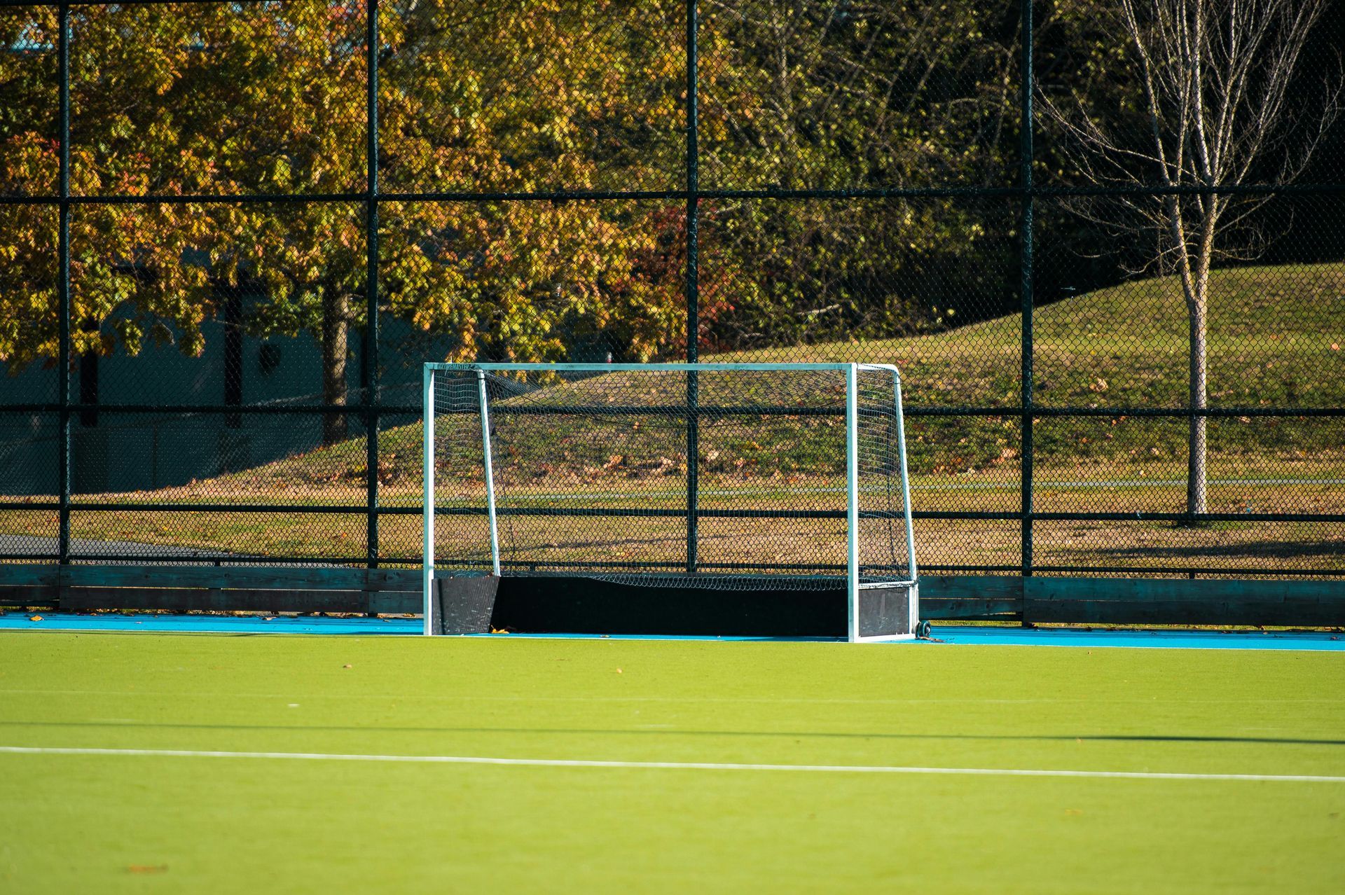 Empty soccer goal on a green field with a chain-link fence and autumn trees in the background
