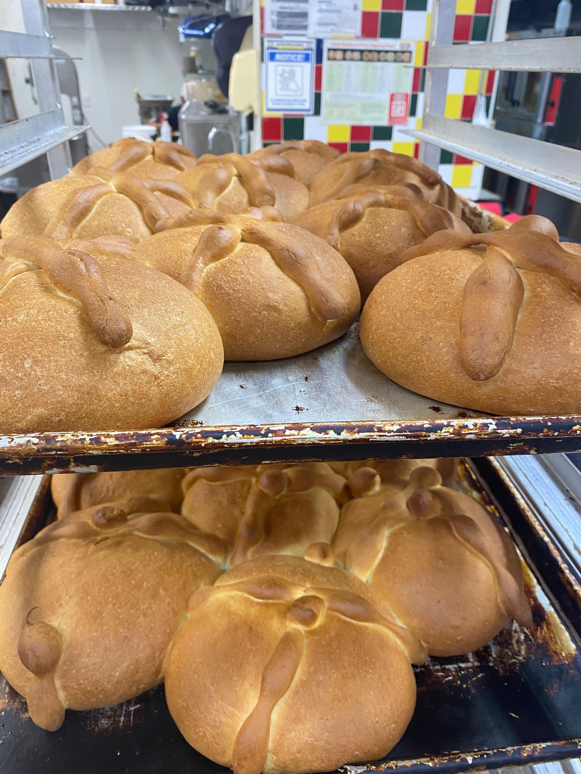 Two baking trays hold golden-brown, round Pan de Muerto loaves decorated with dough bone shapes in a bakery setting.