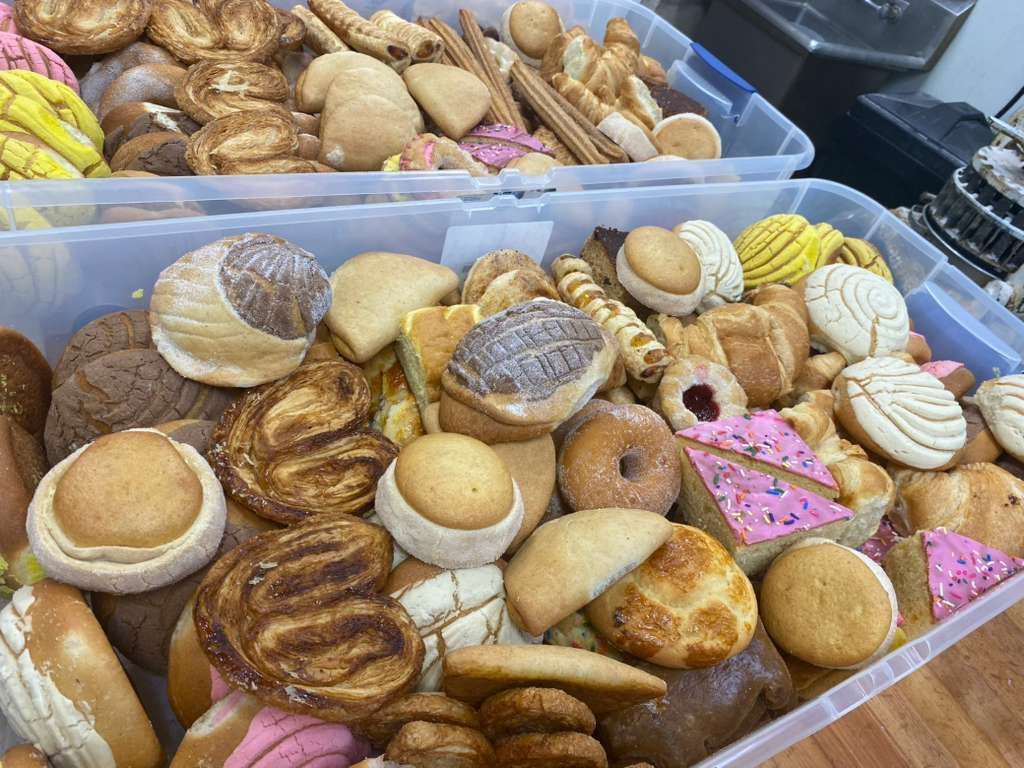 Two large plastic bins filled with a variety of Mexican sweet breads, including conchas, polvorones, and orejas.