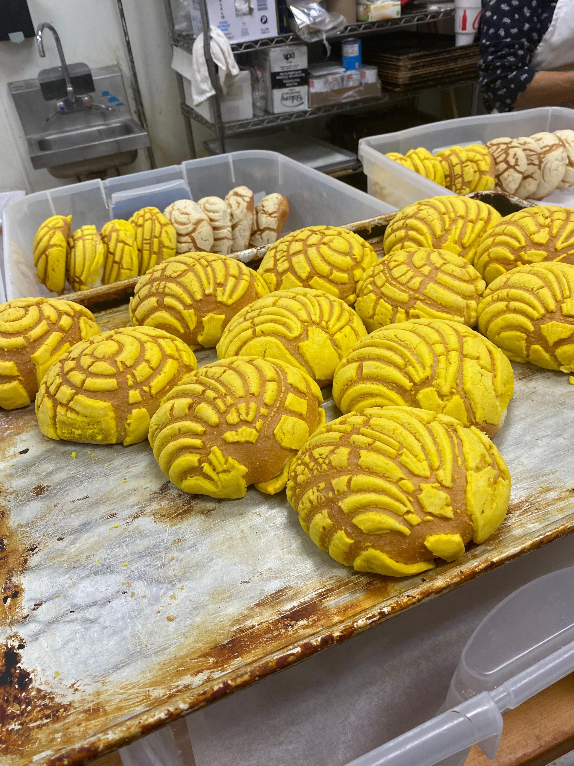 A metal baking tray holds several yellow conchas, with additional trays of white and yellow sweet breads in the background.
