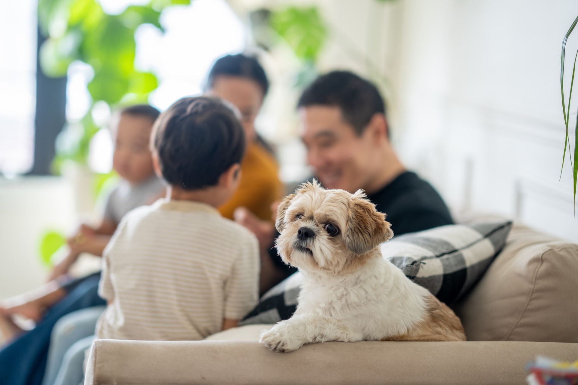 Maintaining a clean home post-spring cleaning with effective tips.