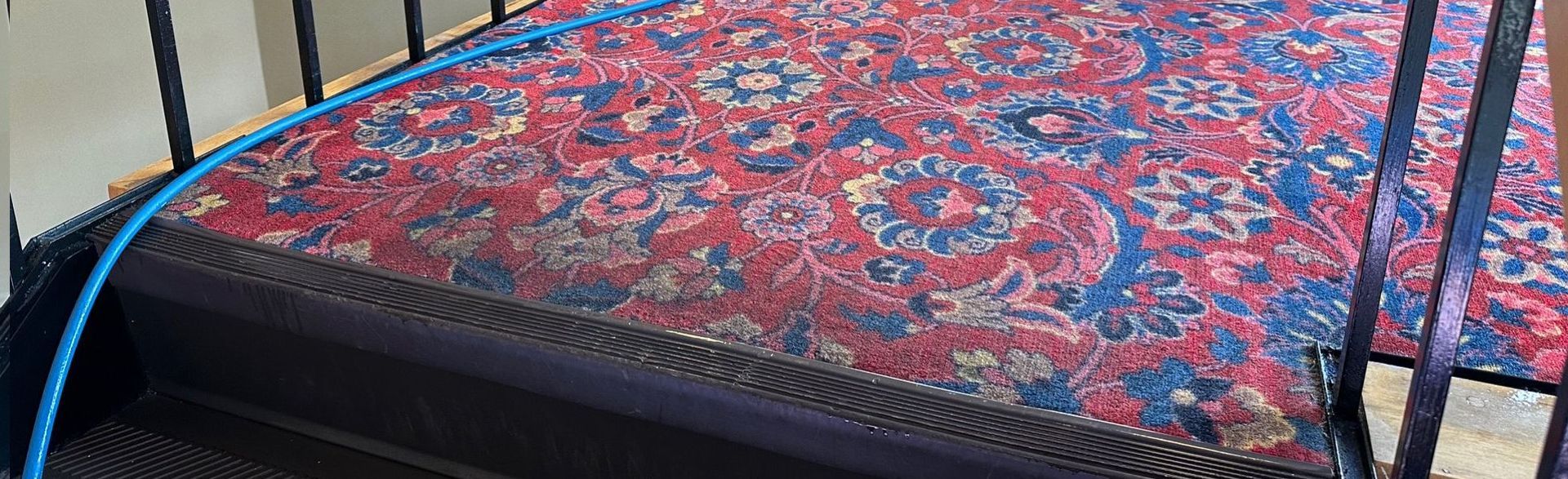 before professionally cleaning your carpets