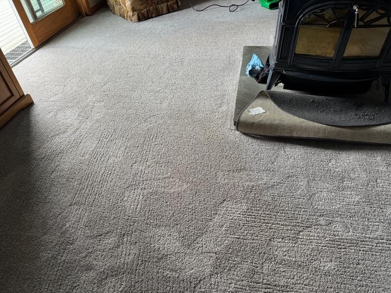 A vacuum cleaner is sitting on a carpet next to a fireplace.