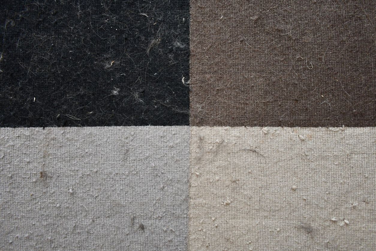 rug allergies