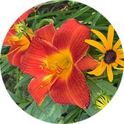 Make New Friends with the Bethel Garden Club