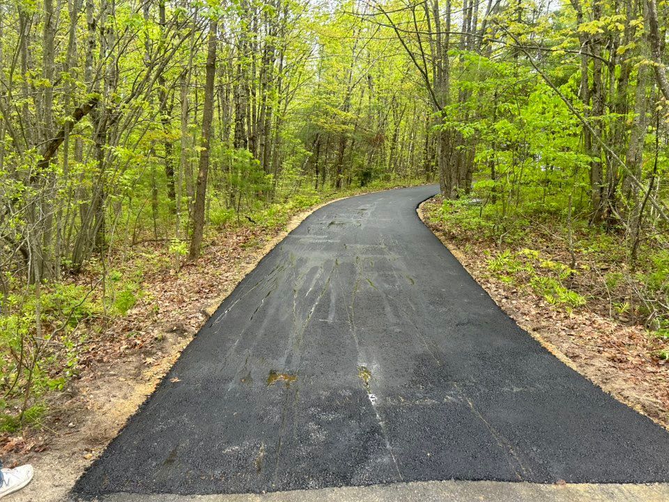 A road going through a forest with trees on both sides