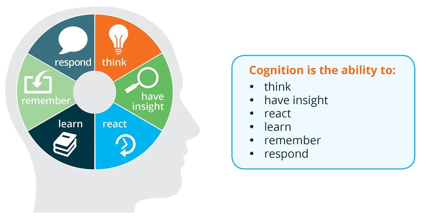 Diagram showing the cognition process in a human head. Includes think, insight, react, learn, remember, and respond.