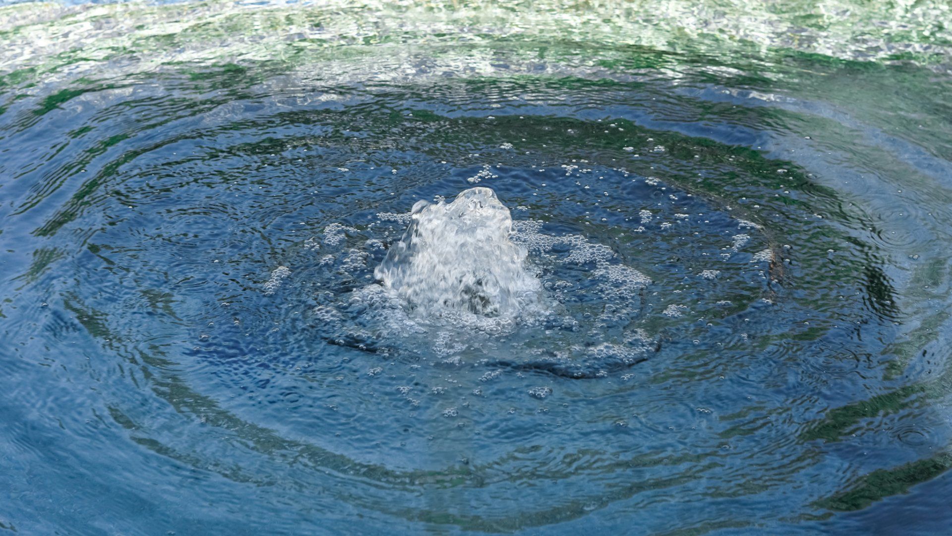 Pool Water pH can Cause Etching in Pool Plaster and Corrode Pool Equipment