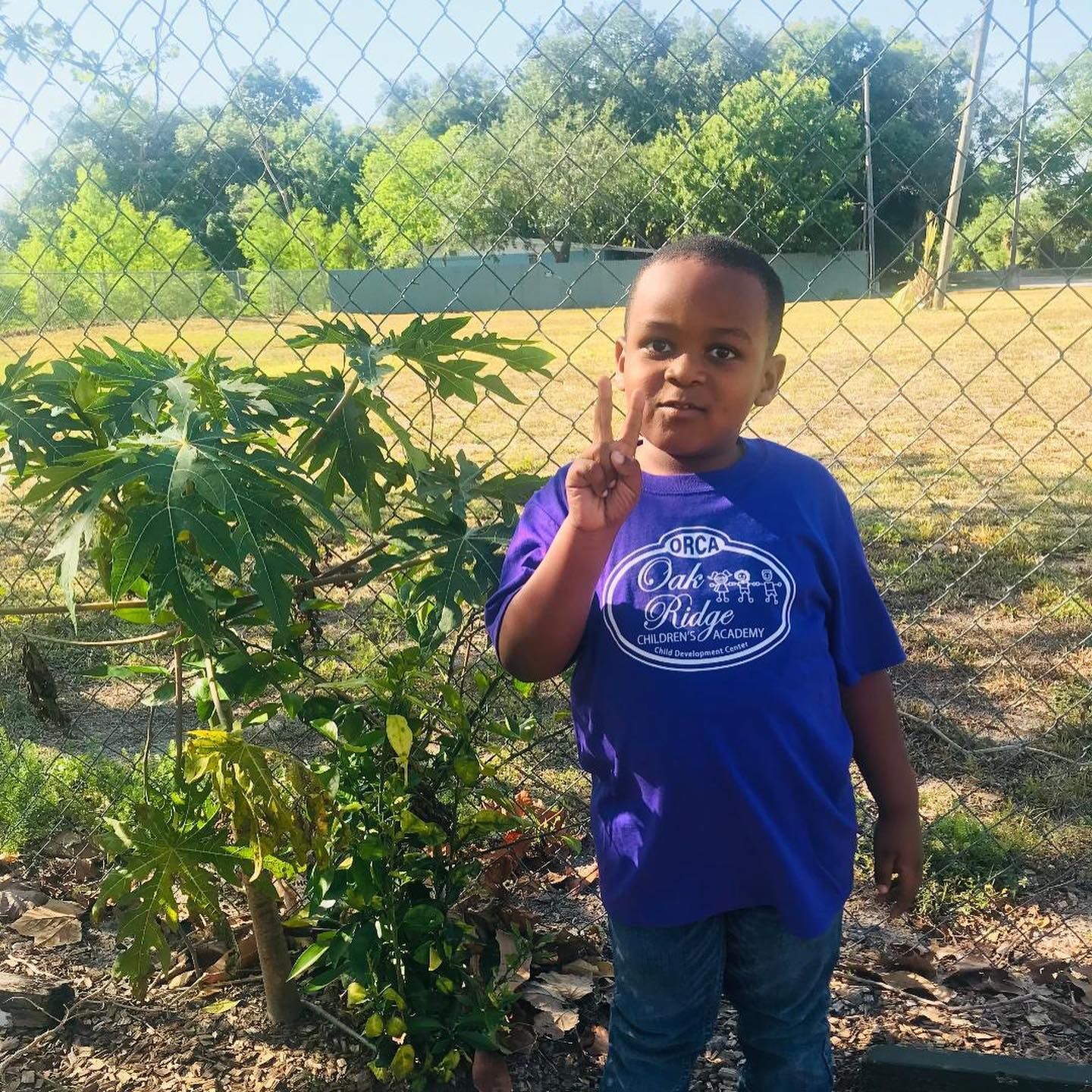 A young boy in a purple shirt is standing in front of a chain link fence