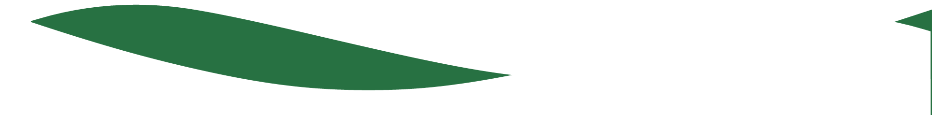 A green and white border