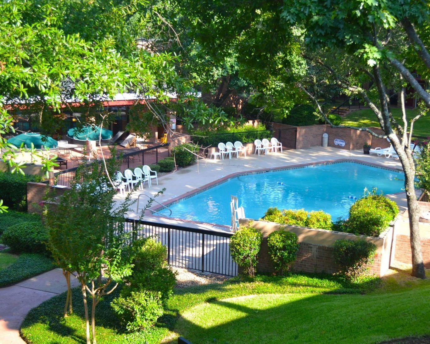 Outdoor apartment pool surrounded by trees, lounge chairs, and manicured grass on a sunny day