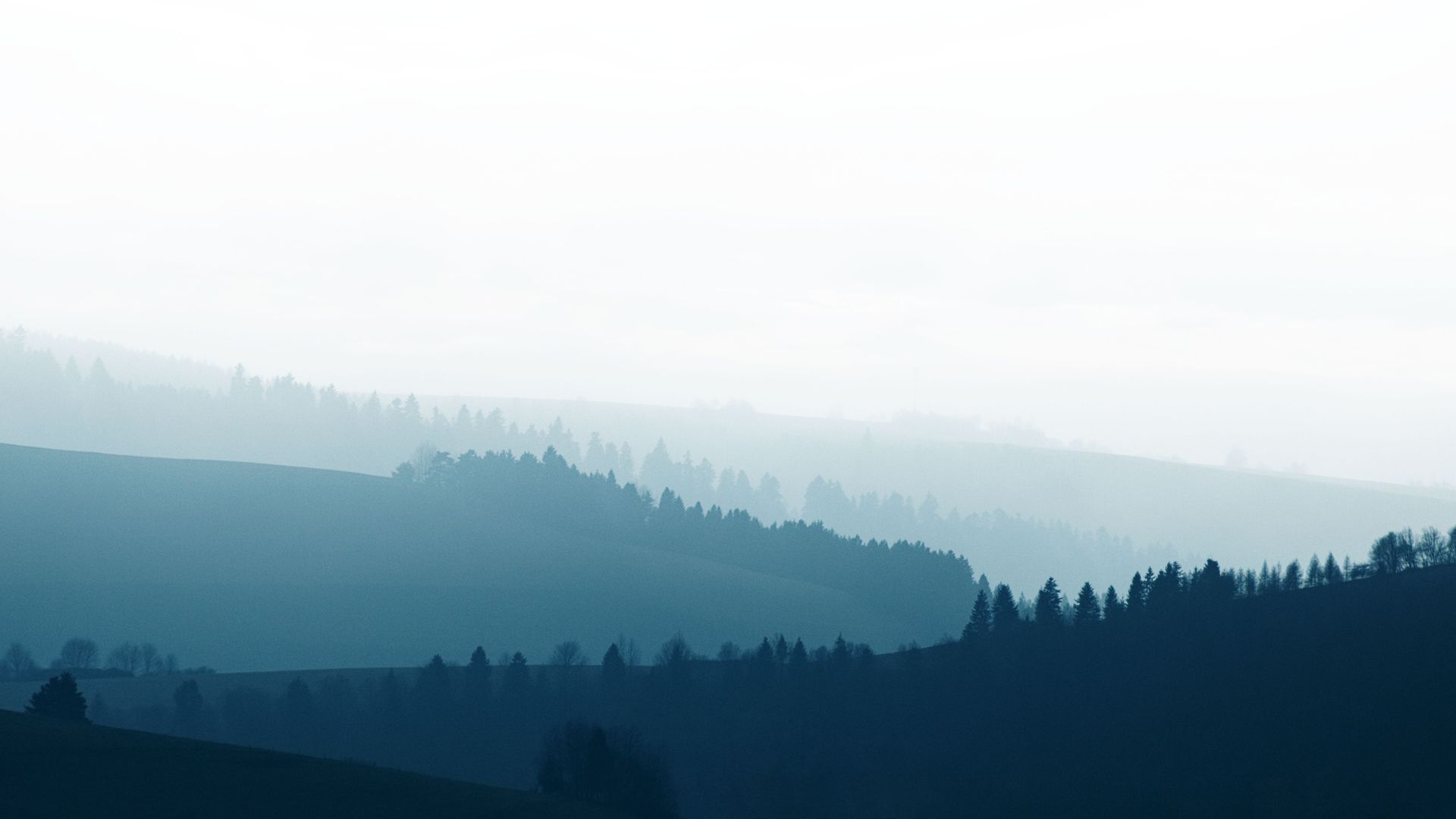 Misty layered forest hills in soft blue-gray tones at dawn