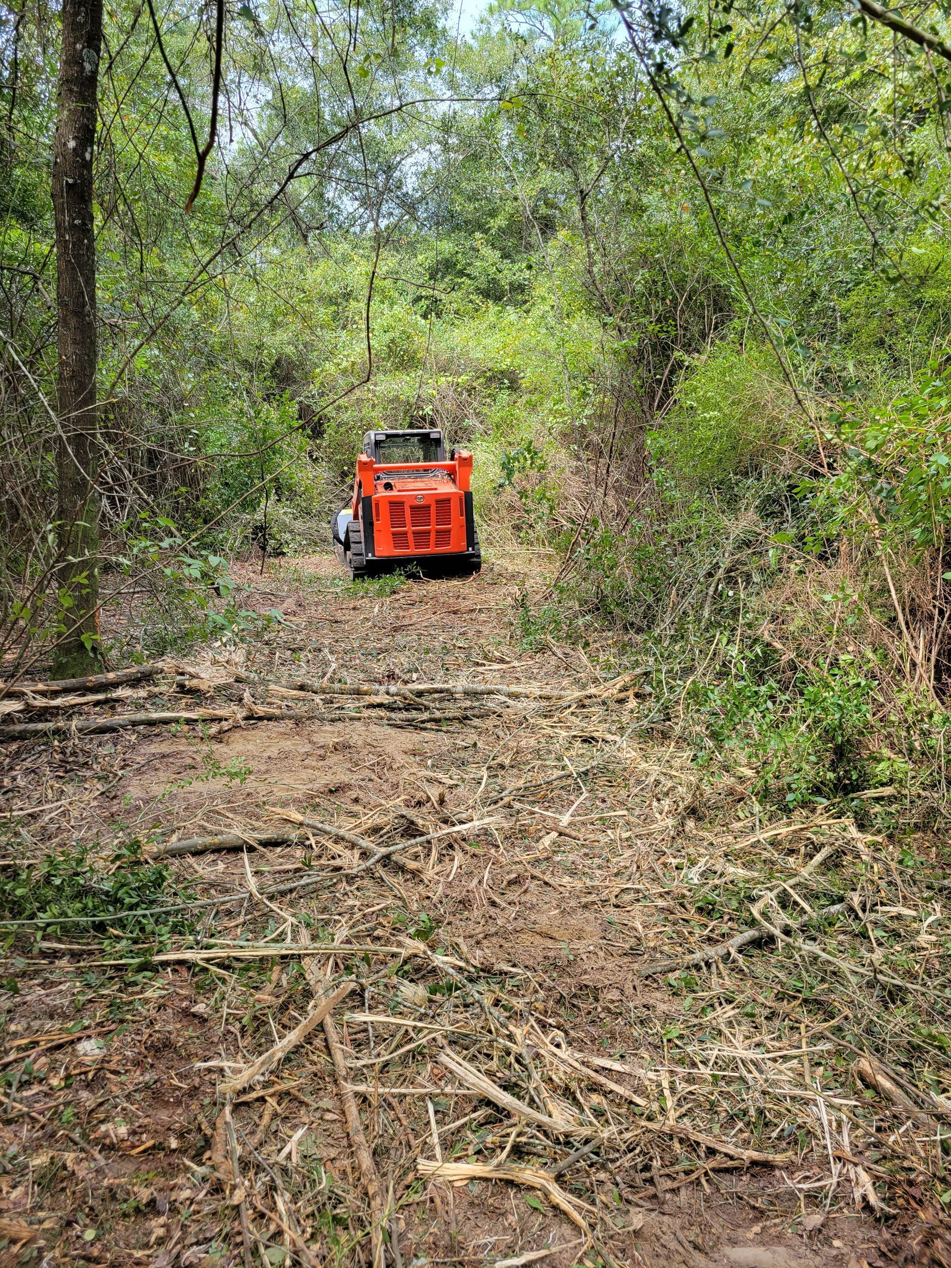 An orange tractor is driving through a lush green forest.