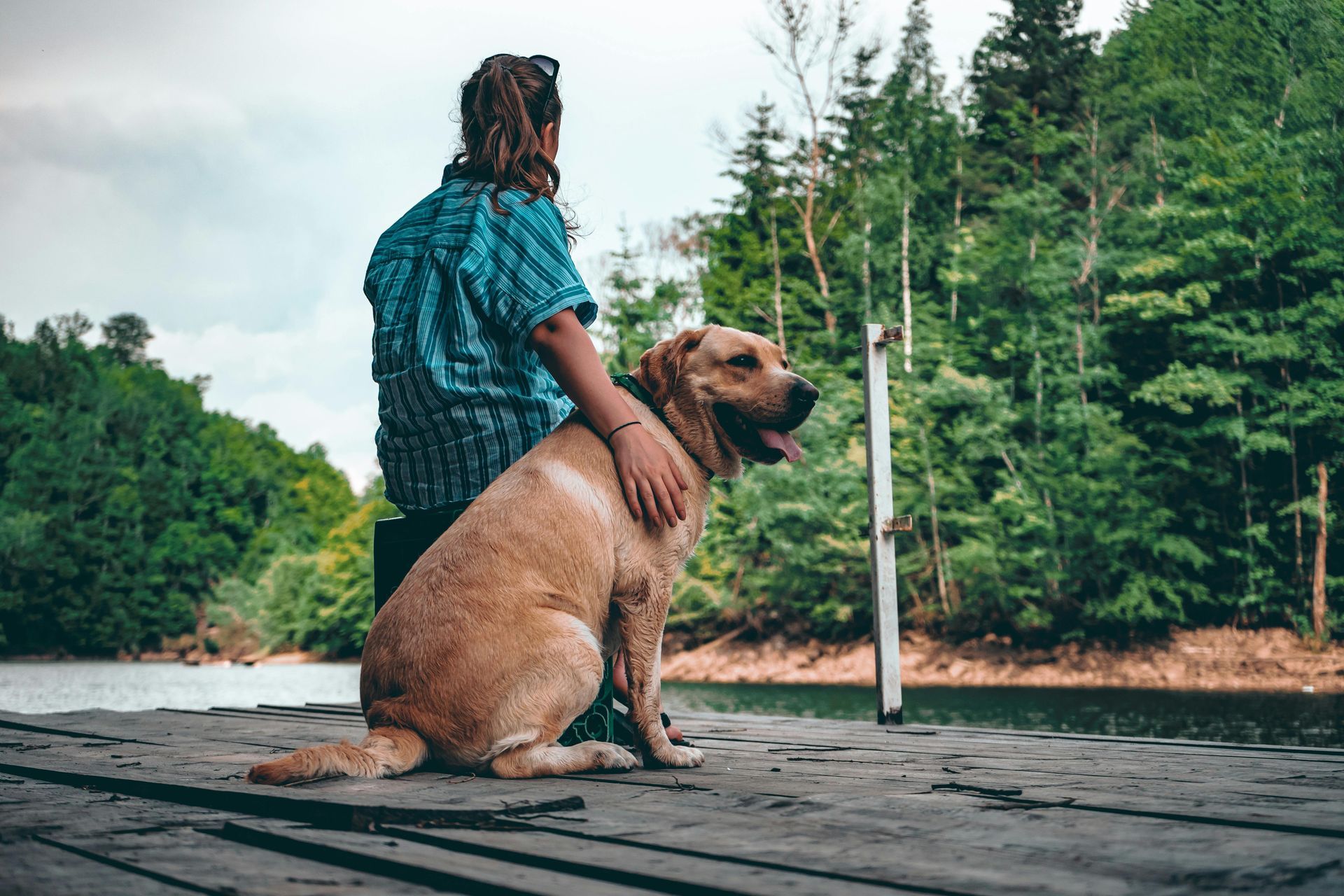 A man is sitting on a dock with his dog.