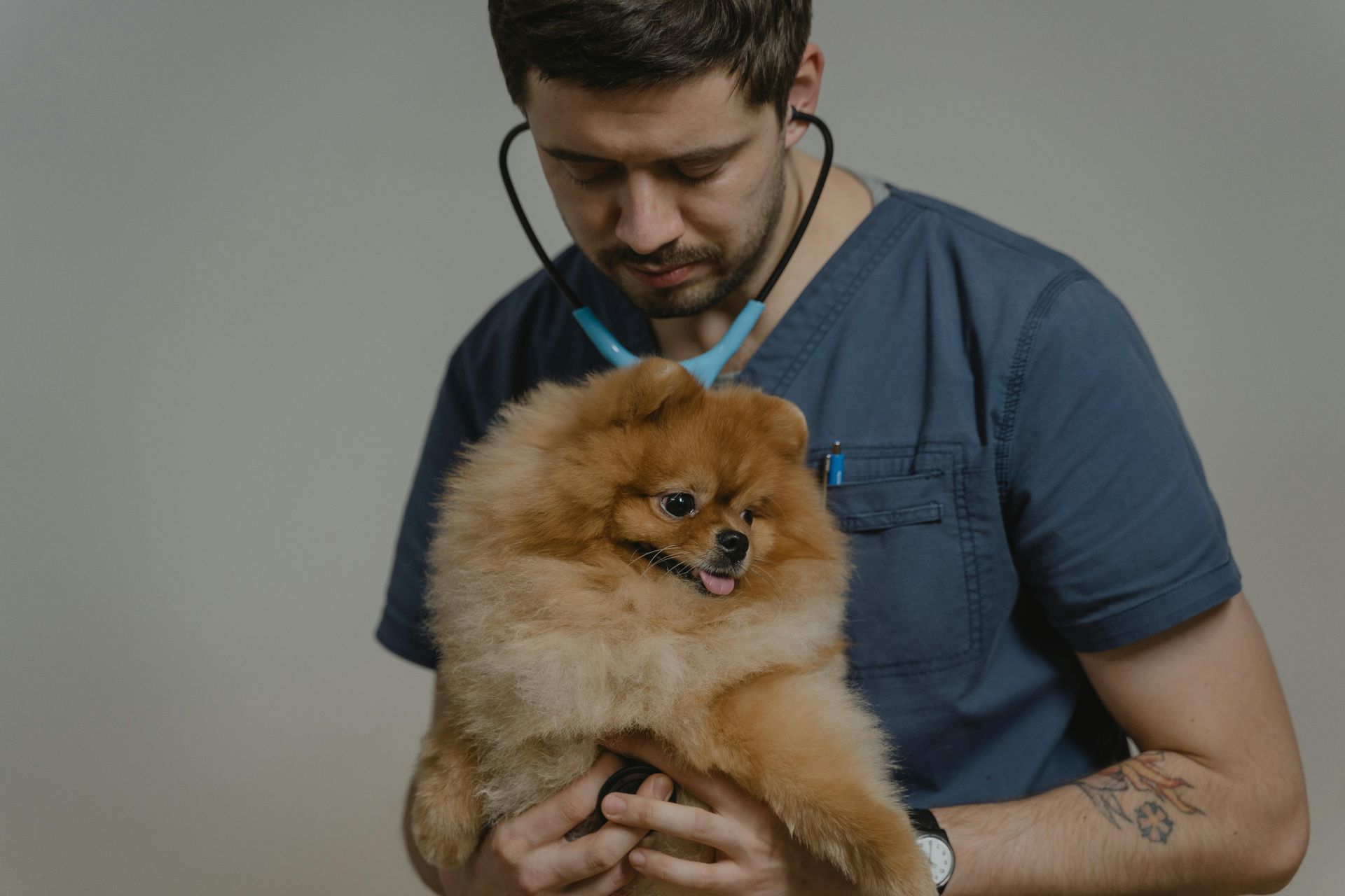 Man holding a fluffy brown dog against a plain gray background