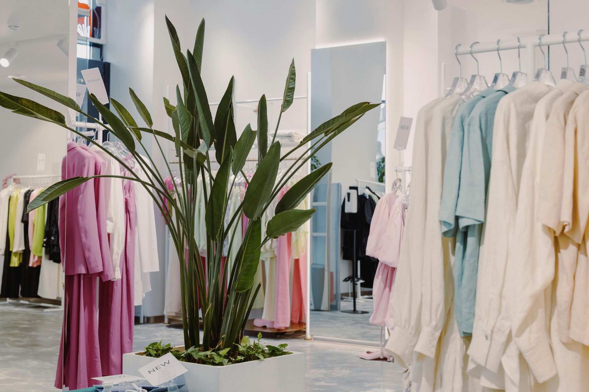 Clothing boutique with pastel dresses and a tall potted plant in the center