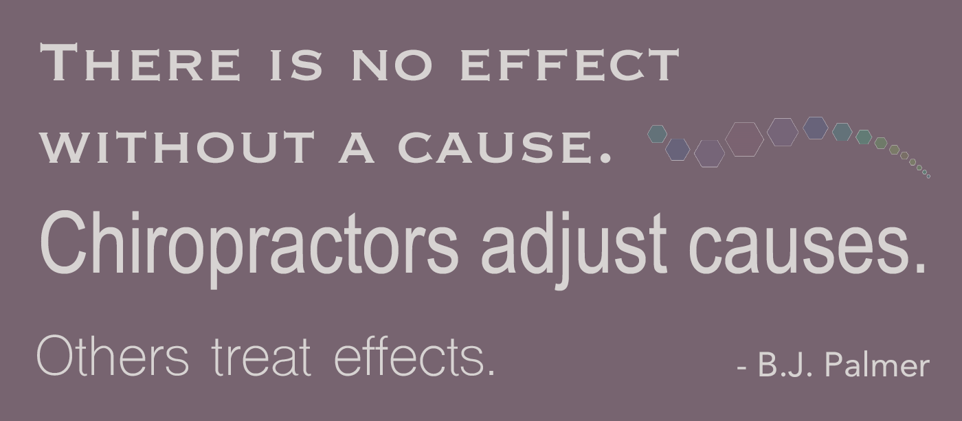 There is no effect without a cause chiropractors adjust causes others treat effects
