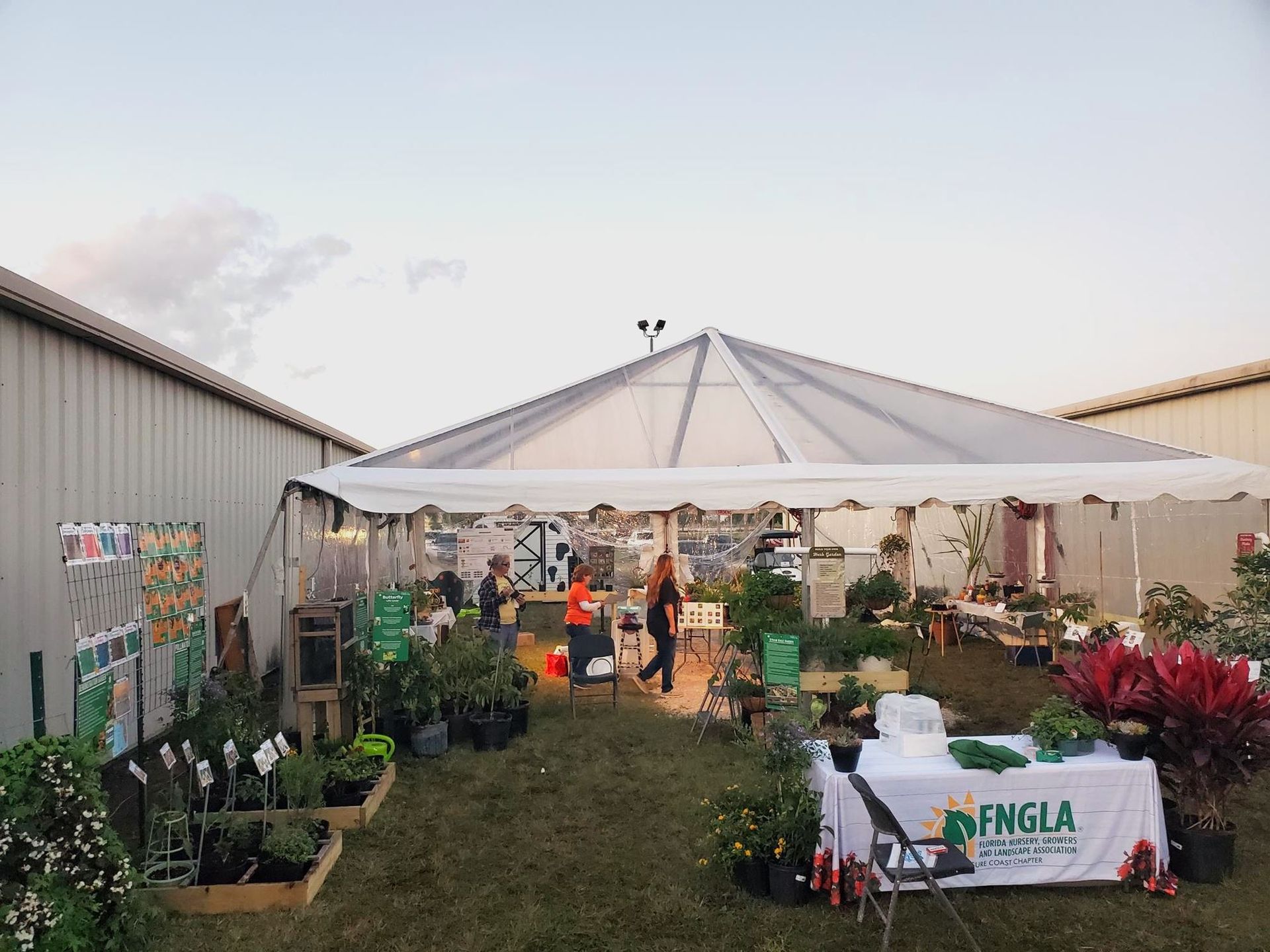 Outdoor plant stall with tents, potted flowers, and people browsing along a grassy aisle