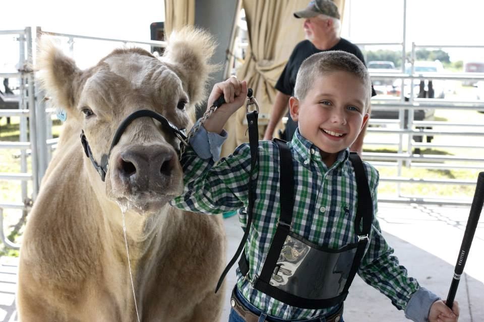 Boy smiling beside a tan cow at a fair, both in halters and harnesses.