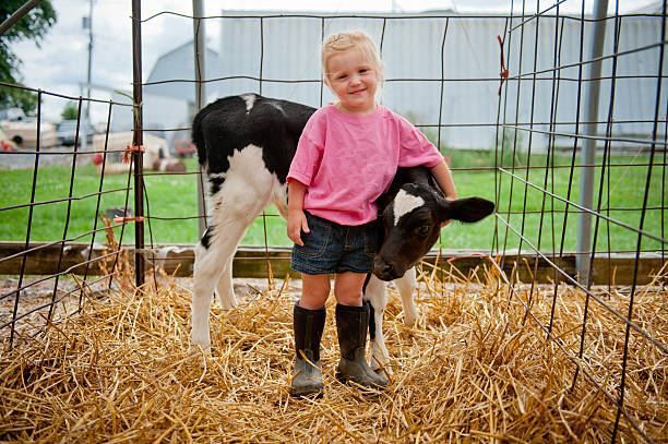 Smiling child in a pink shirt standing beside a black-and-white calf in a straw-covered pen