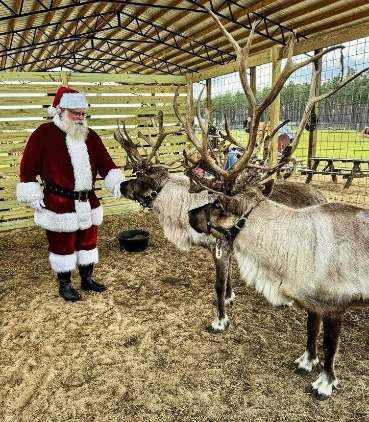Santa feeding a reindeer in a barn, with another reindeer nearby.