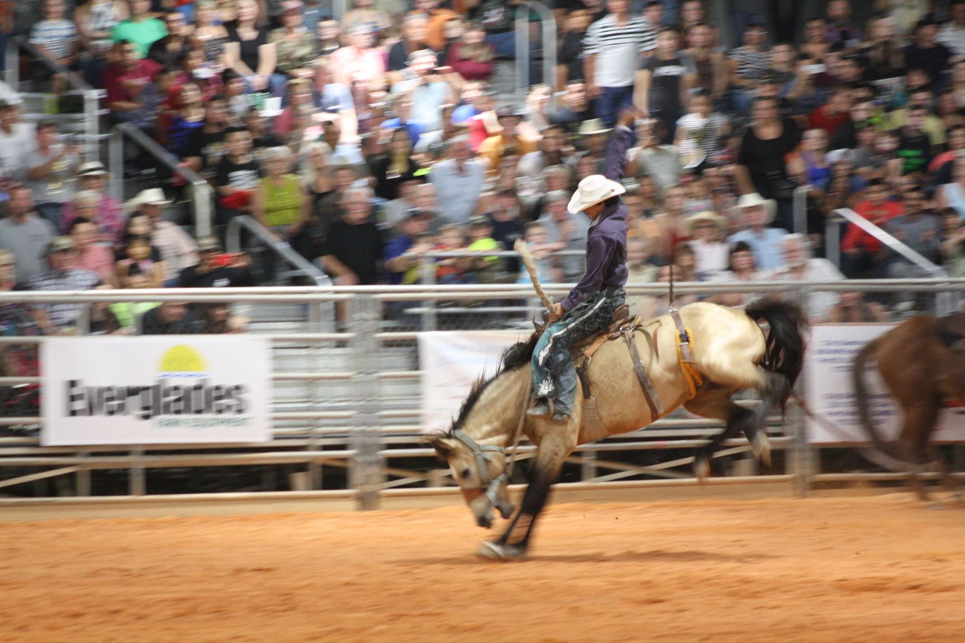 Cowboy riding a bucking horse in a rodeo arena with a cheering crowd in the background