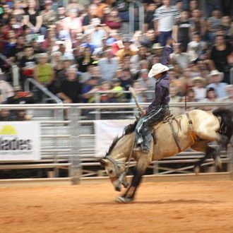 Bucking rodeo horse with rider in white hat in an arena, crowd blurred in the background