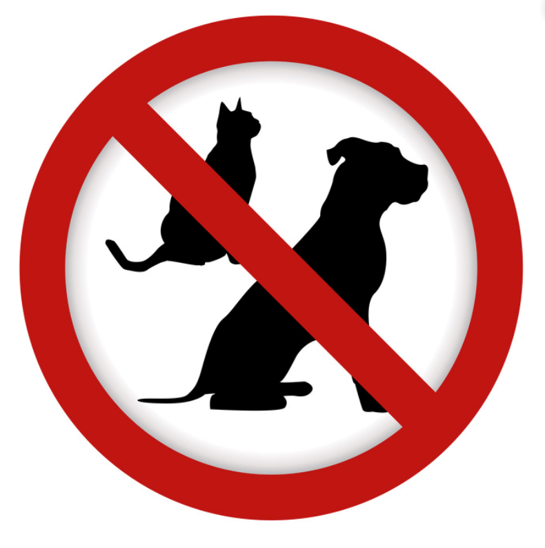 Red no pets sign with black dog and cat silhouettes crossed out by a red prohibition circle