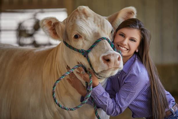 Woman smiling beside a tan cow in a barn, holding a blue rope halter