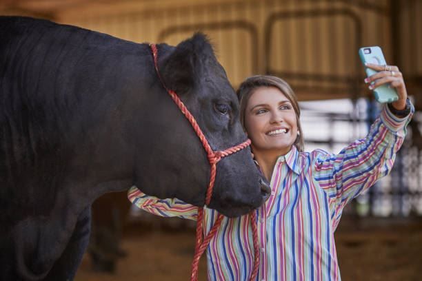 Woman taking a selfie with a black horse in a barn, both wearing halters.