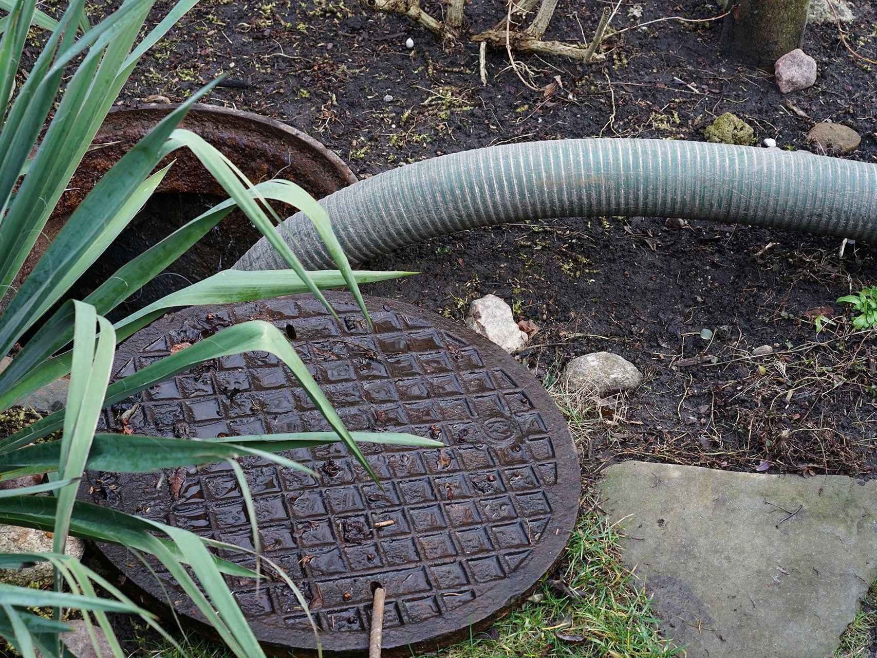 A sump pump discharge hose.
