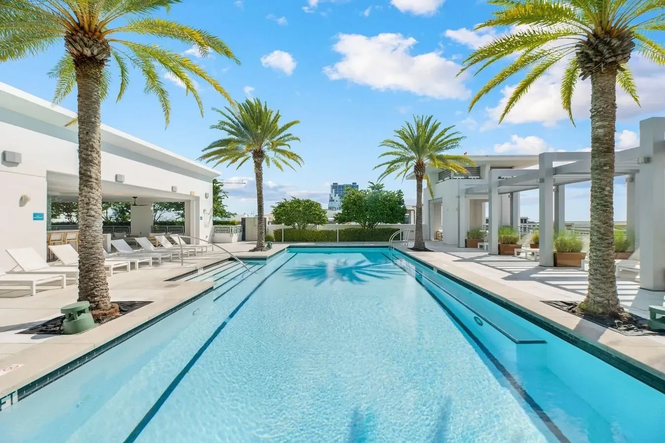 Modern resort pool with palm trees, white loungers, and clear blue water under a bright sky
