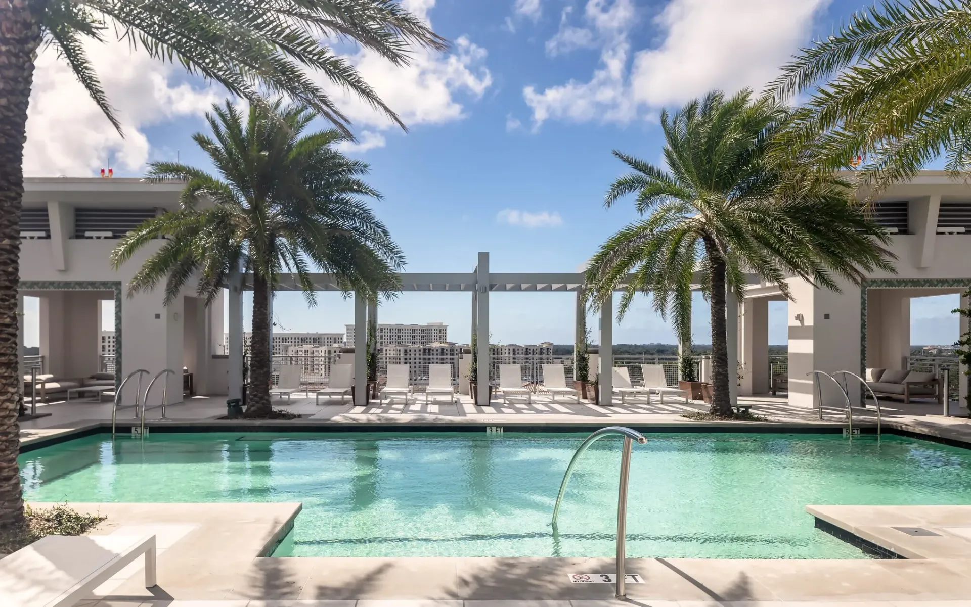 Rooftop swimming pool with lounge chairs and palm trees