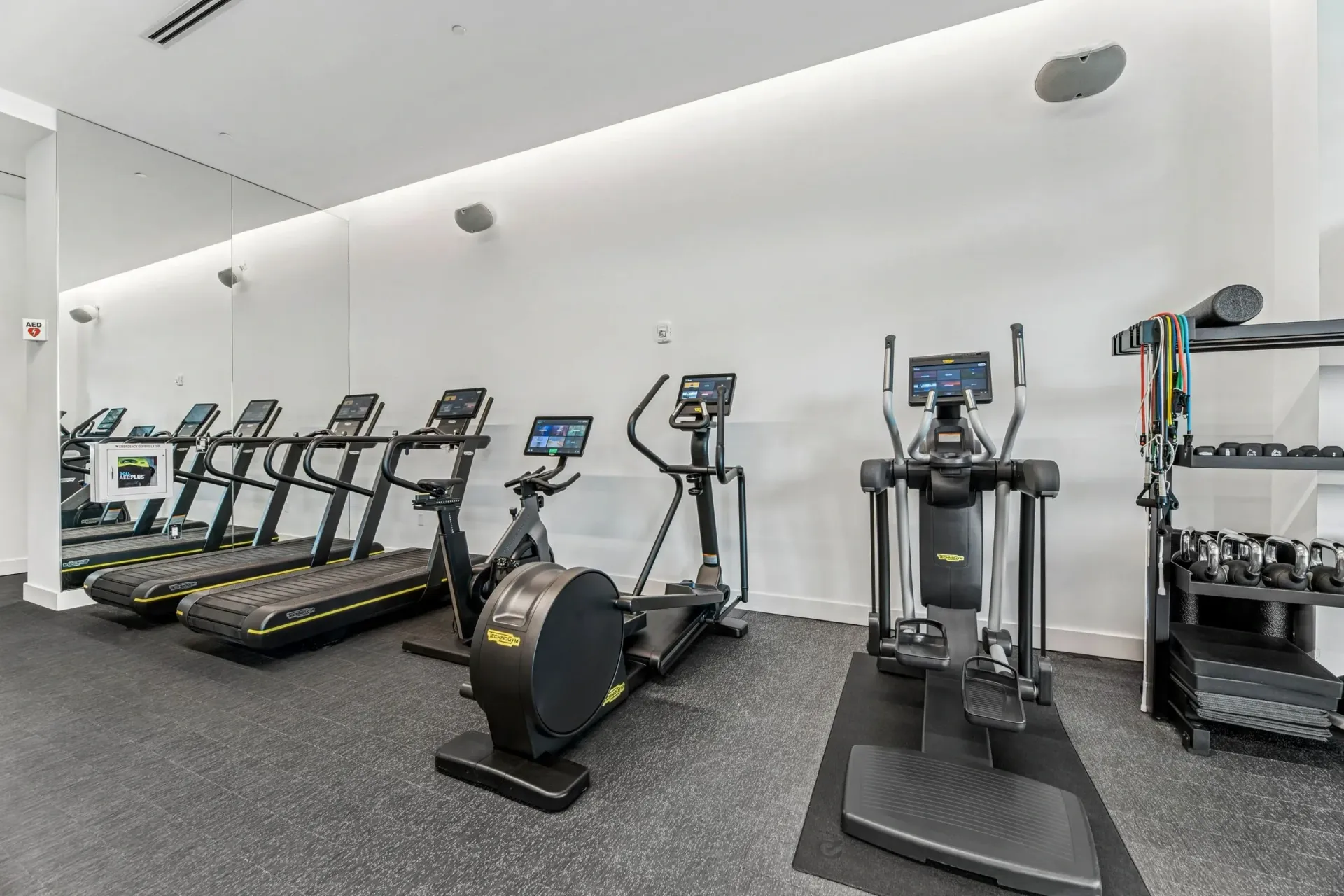Treadmills, ellipticals, and weight rack in a modern apartment gym.
