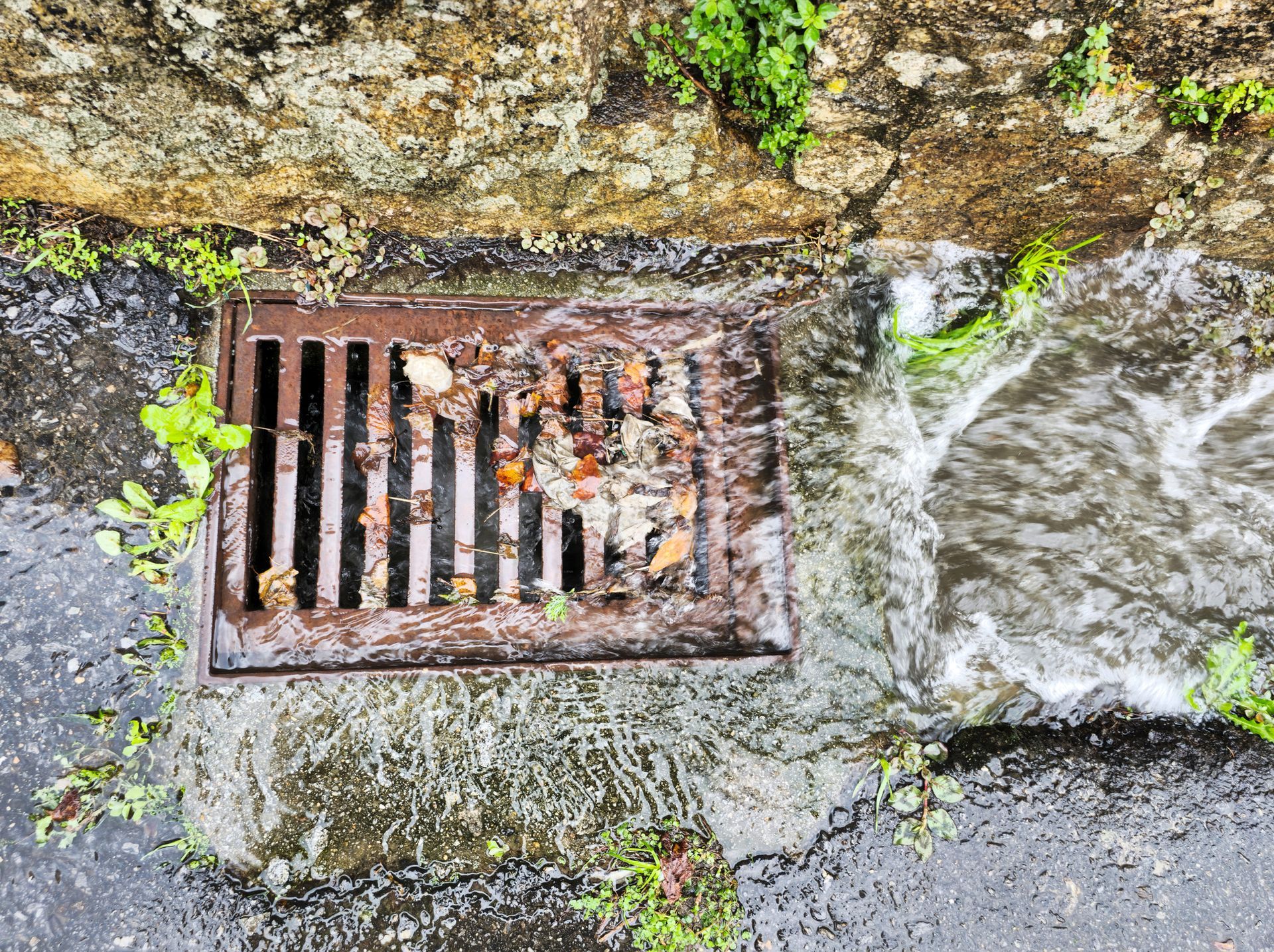 Overhead view of water flowing into a rusty storm drain covered with leaves, next to a stone wall.