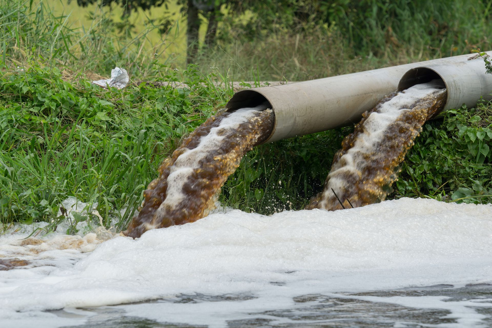 Two pipes discharging brown, foamy wastewater into a body of water, alongside green vegetation.