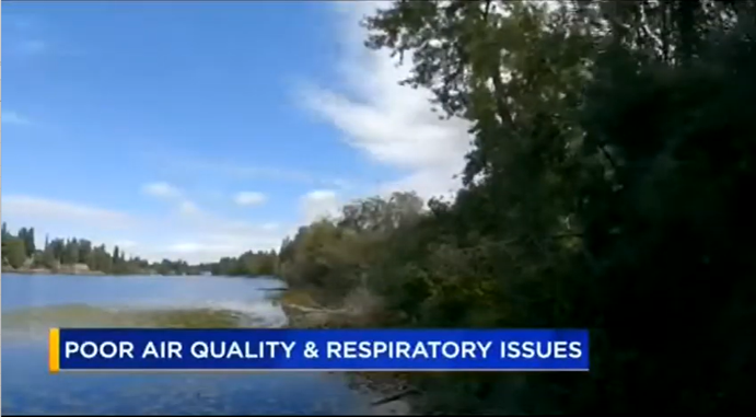 News story about pollution, sinusitis, and nasal polyps