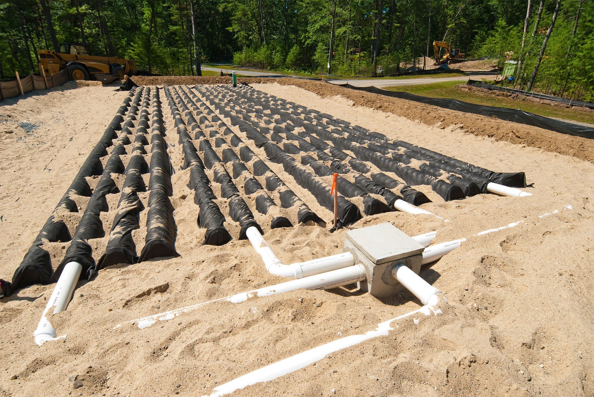 Rows of black soil mounds with white irrigation pipes in a sandy field beside trees.
