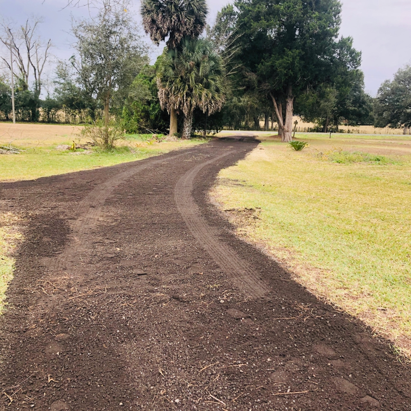 Dirt driveway curves through a grassy field, flanked by trees and vegetation.