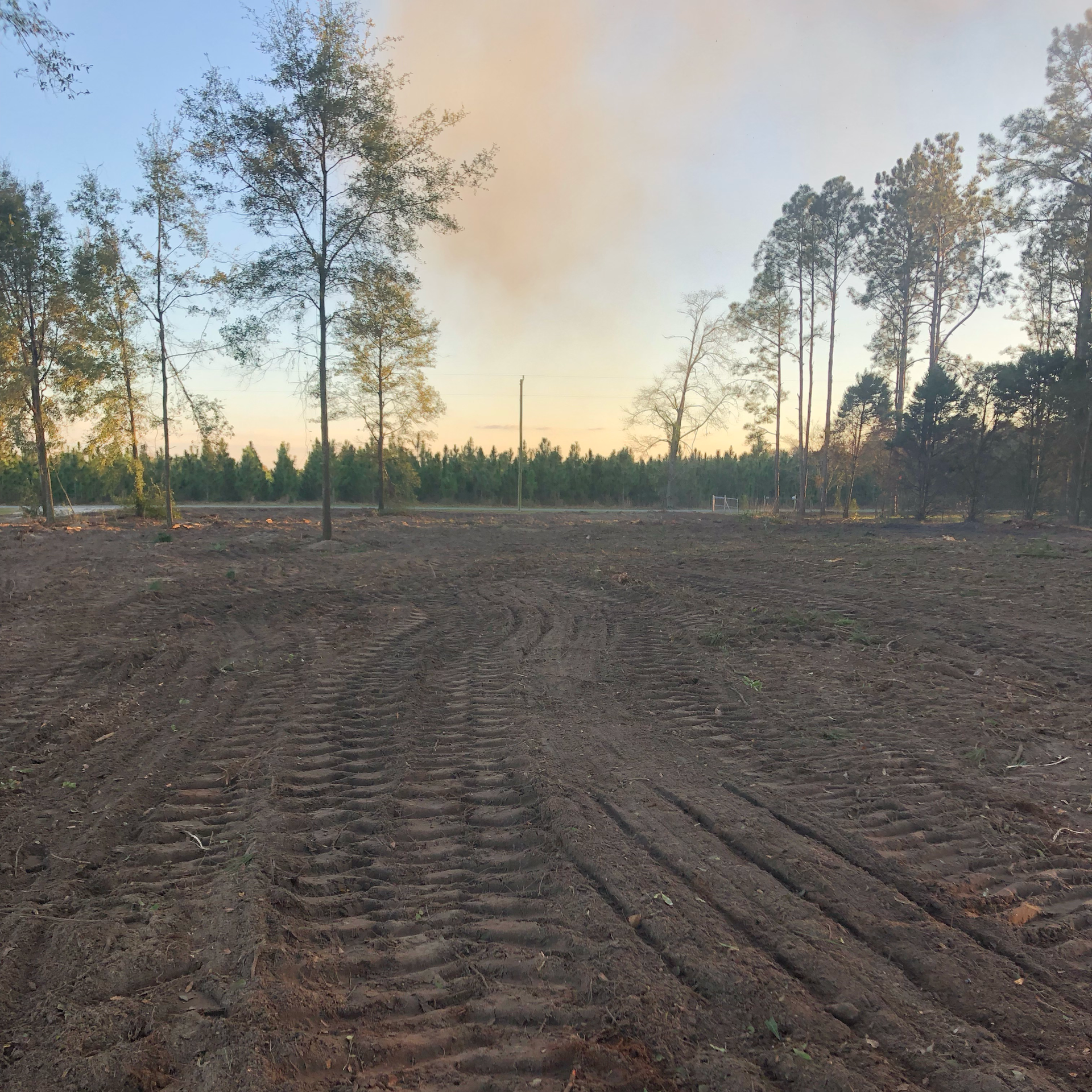 Cleared field with tire tracks, trees bordering, hazy sky, and distant tower.