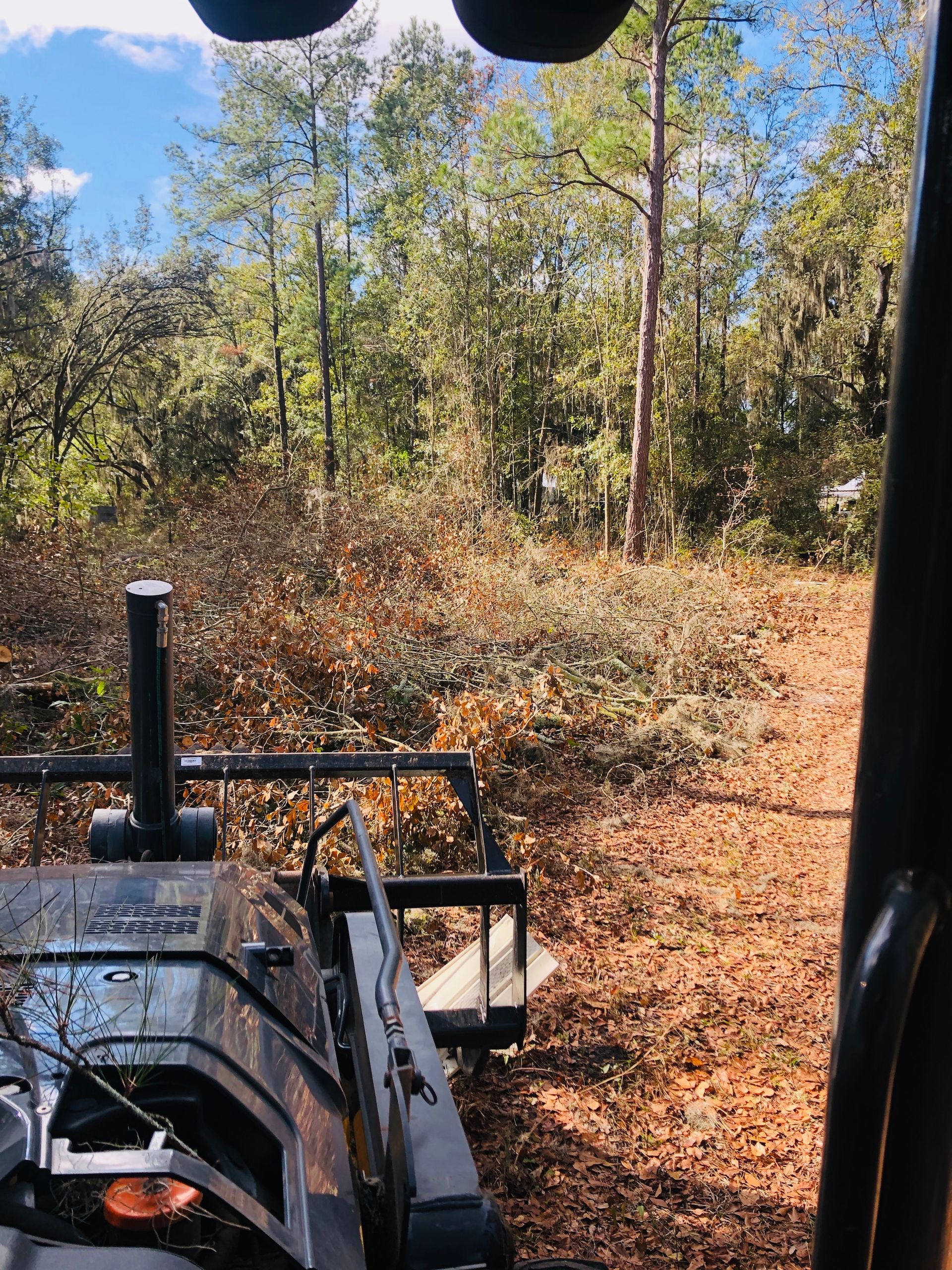 A machine clearing brush in a wooded area with fallen leaves.