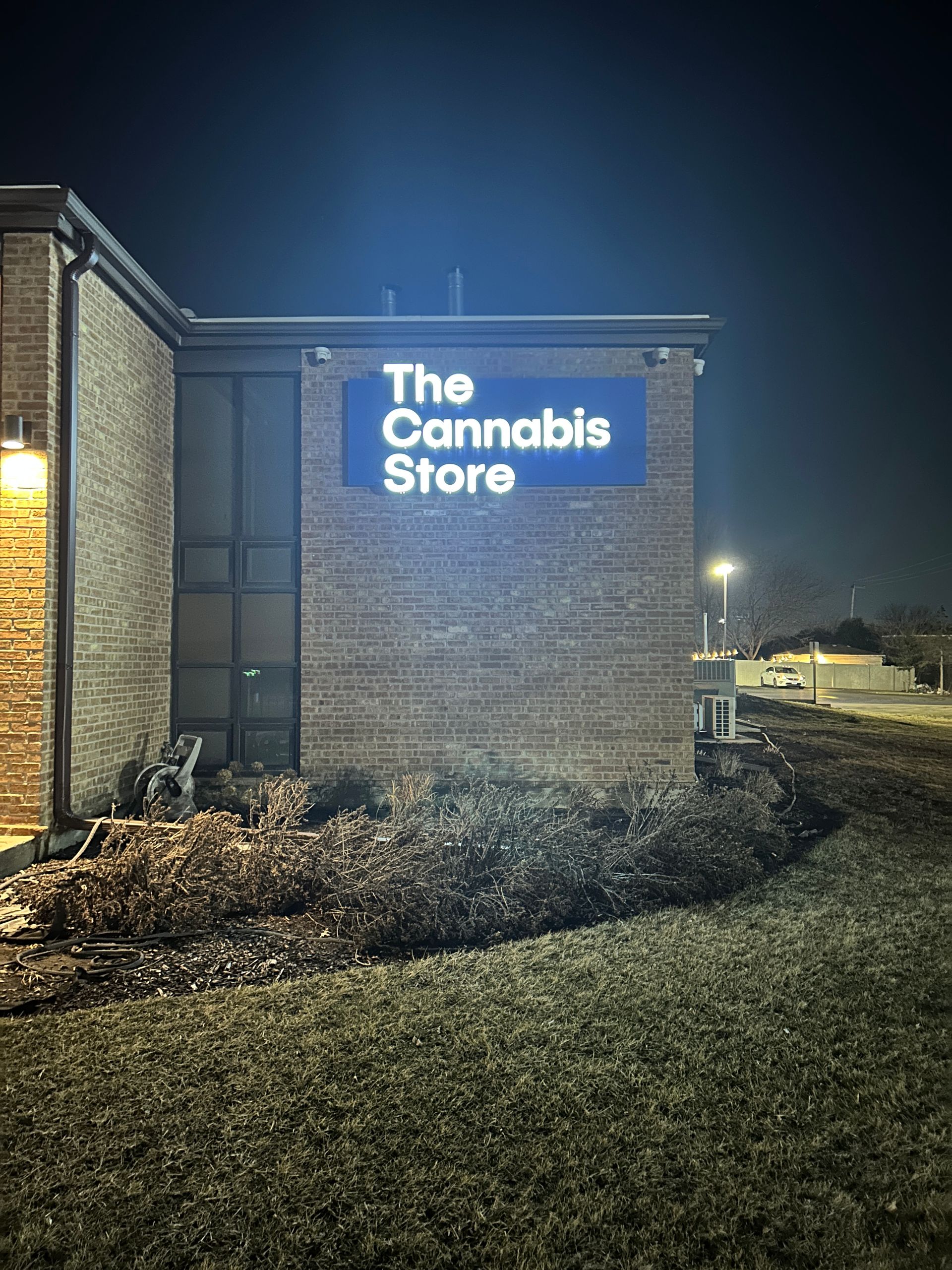 Night view of The Cannabis Store sign on a brick building, lit in blue beside a sidewalk and landscaping.
