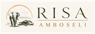 RISA Amboseli logo with an elephant silhouette, acacia tree, and lodge illustration in gold and black