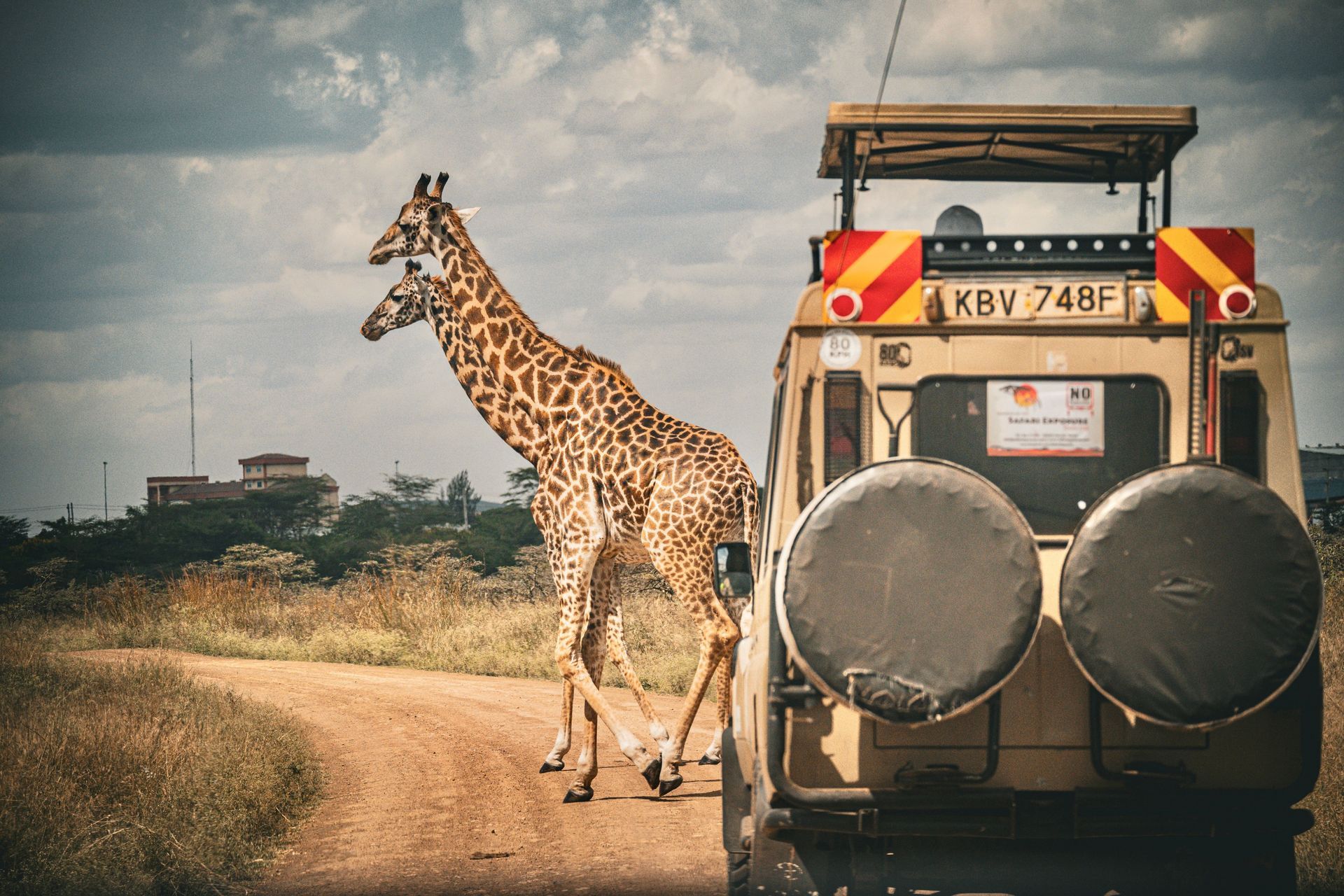 Giraffe and calf beside a safari vehicle on a dirt road in a savanna landscape